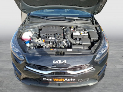 KIA Ceed Gebrauchtwagen