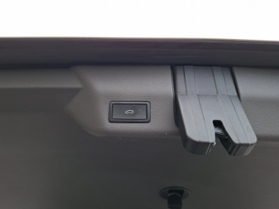 VW Multivan Gebrauchtwagen