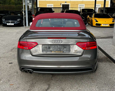 Audi A5 Gebrauchtwagen