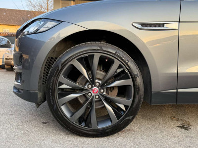 Jaguar F-Pace Gebrauchtwagen