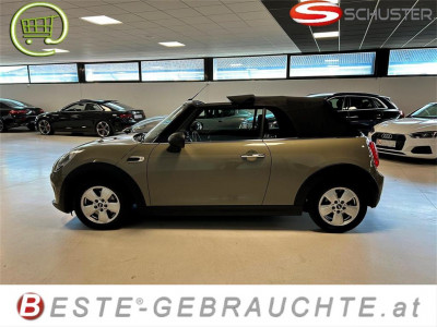 MINI Cabrio Gebrauchtwagen