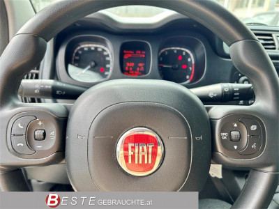 Fiat Panda Gebrauchtwagen