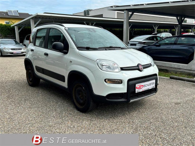 Fiat Panda Gebrauchtwagen