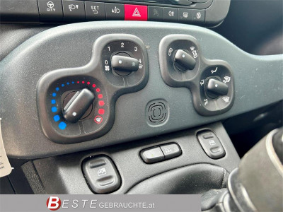 Fiat Panda Gebrauchtwagen
