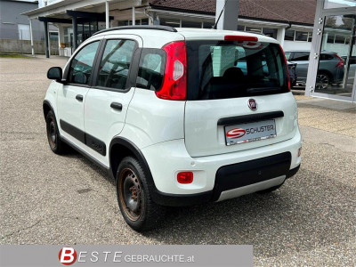 Fiat Panda Gebrauchtwagen