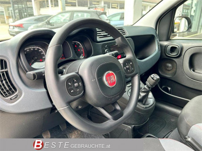 Fiat Panda Gebrauchtwagen
