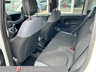 Fiat Panda Gebrauchtwagen