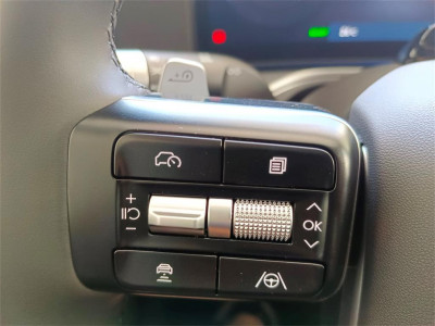 Hyundai Ioniq 9 Vorführwagen