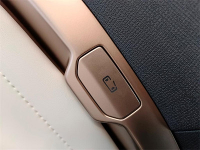 Maxus eTerron 9 Gebrauchtwagen