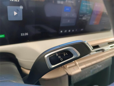 Maxus eTerron 9 Gebrauchtwagen