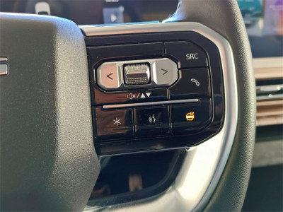 Maxus eTerron 9 Gebrauchtwagen