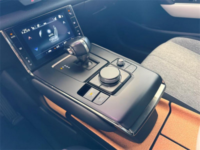 Mazda MX-30 Gebrauchtwagen Mazda MX-30 Gebrauchtwagen