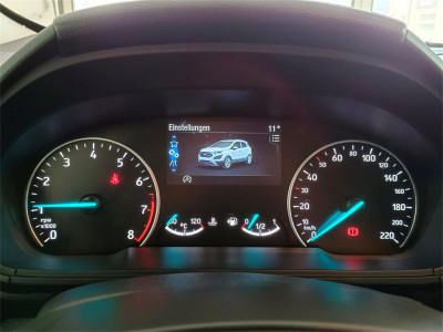 Ford EcoSport Gebrauchtwagen