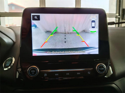 Ford EcoSport Gebrauchtwagen