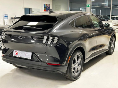 Ford Mustang Mach-E Gebrauchtwagen