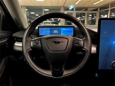 Ford Mustang Mach-E Gebrauchtwagen