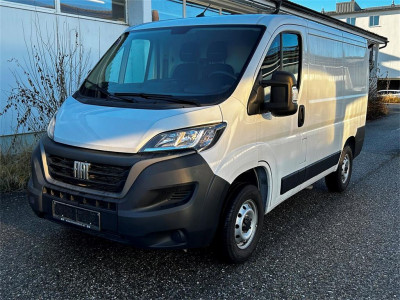 Fiat Ducato Gebrauchtwagen