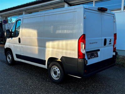 Fiat Ducato Gebrauchtwagen
