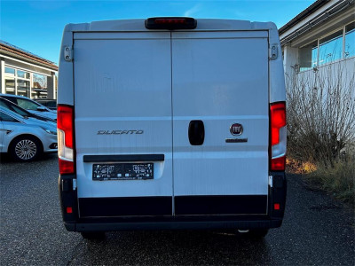 Fiat Ducato Gebrauchtwagen