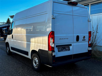 Fiat Ducato Gebrauchtwagen