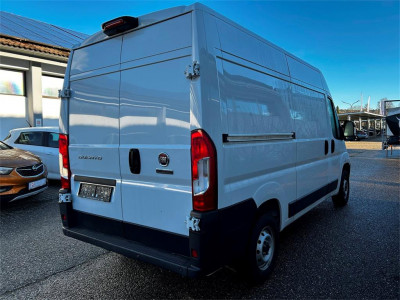 Fiat Ducato Gebrauchtwagen