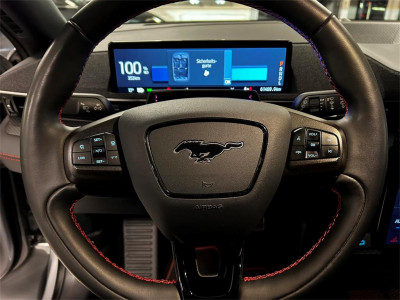 Ford Mustang Mach-E Gebrauchtwagen