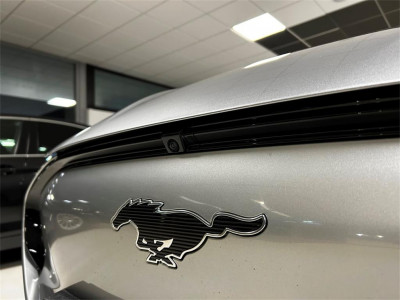 Ford Mustang Mach-E Gebrauchtwagen