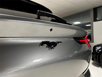 Ford Mustang Mach-E Gebrauchtwagen