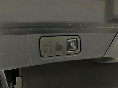 Ford Mustang Mach-E Gebrauchtwagen