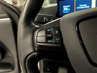 Ford Mustang Mach-E Gebrauchtwagen