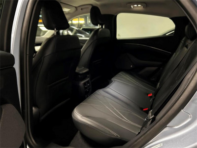 Ford Mustang Mach-E Gebrauchtwagen