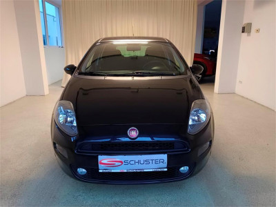 Fiat Punto Gebrauchtwagen
