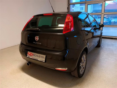 Fiat Punto Gebrauchtwagen