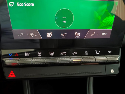 Mitsubishi Grandis Vorführwagen