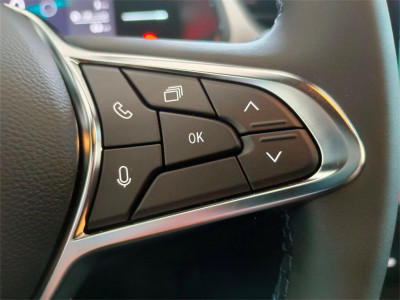 Mitsubishi Grandis Vorführwagen