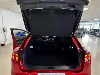 Ford Mustang Mach-E Gebrauchtwagen