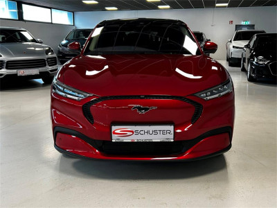 Ford Mustang Mach-E Gebrauchtwagen