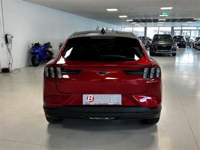 Ford Mustang Mach-E Gebrauchtwagen