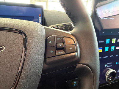 Ford Mustang Mach-E Gebrauchtwagen Ford Mustang Mach-E Gebrauchtwagen