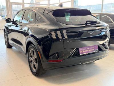 Ford Mustang Mach-E Gebrauchtwagen Ford Mustang Mach-E Gebrauchtwagen