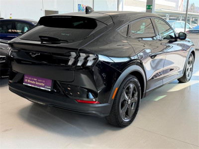 Ford Mustang Mach-E Gebrauchtwagen Ford Mustang Mach-E Gebrauchtwagen