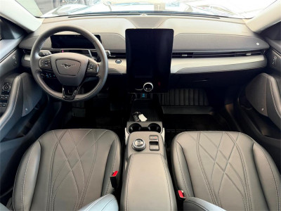 Ford Mustang Mach-E Gebrauchtwagen Ford Mustang Mach-E Gebrauchtwagen