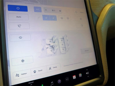 Tesla Model S Gebrauchtwagen