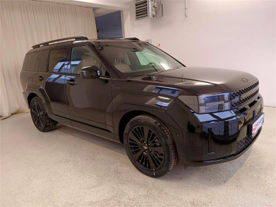 Hyundai Santa Fe Vorführwagen