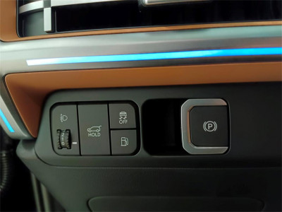 Hyundai Santa Fe Vorführwagen