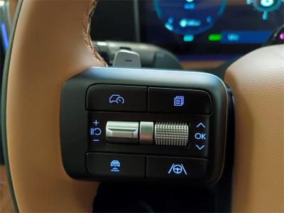 Hyundai Santa Fe Vorführwagen