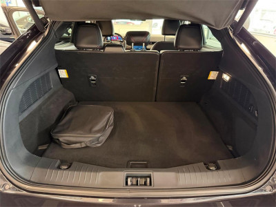 Ford Mustang Mach-E Gebrauchtwagen