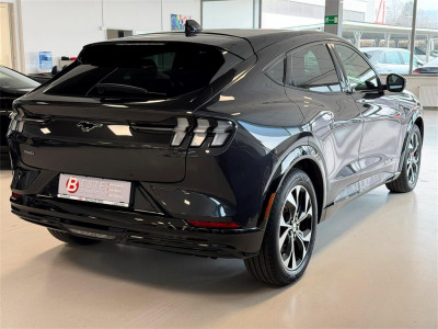 Ford Mustang Mach-E Gebrauchtwagen