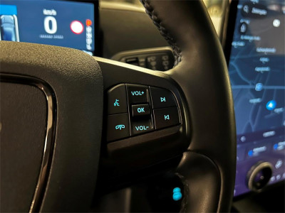 Ford Mustang Mach-E Gebrauchtwagen