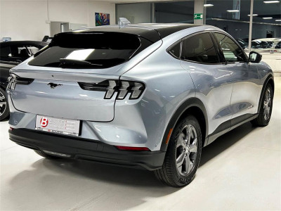 Ford Mustang Mach-E Gebrauchtwagen